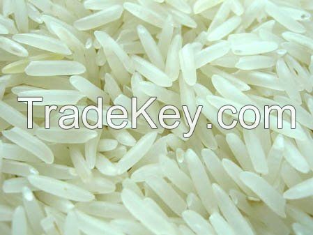 Basmati rice for sale