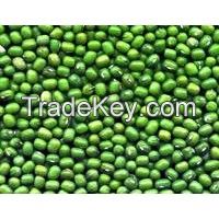 Green Mung Beans Grade A