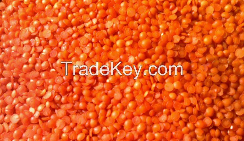 Red Split Lentils Grade A