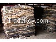 Hot Sale Cow Hide , Buffalo hide, donkey hide, wet blue