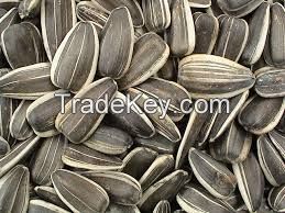 Sunflower Seeds