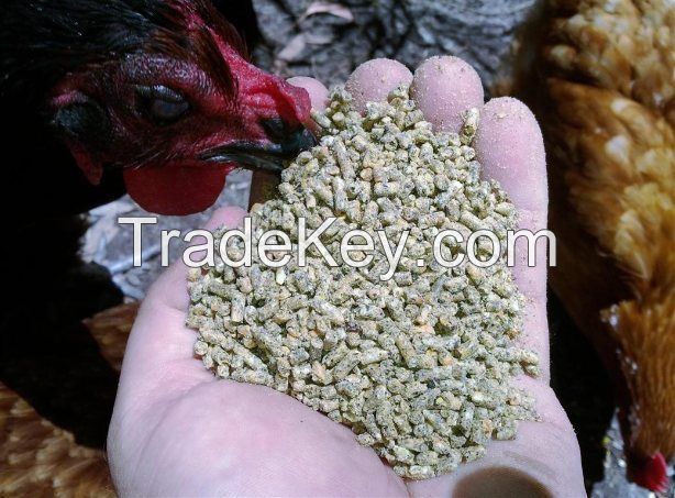 Organic Chiken Feed Pellets