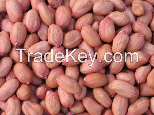 Sell Export Quality Peanuts