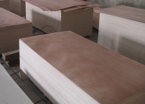 Sell OKUMAN plywood