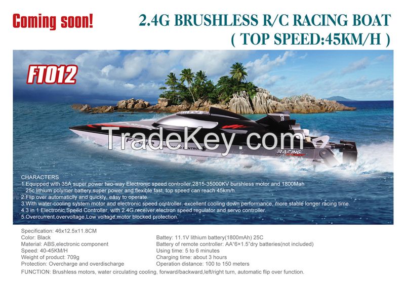 2015 2.4G Brushless R/C Racing ship