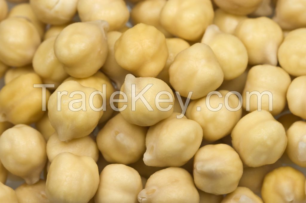 Desi Chickpeas Kabuli Chickpeas (12 MM - 42/44 Count)