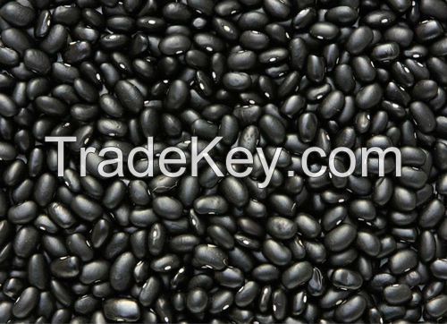 Black kidney beans