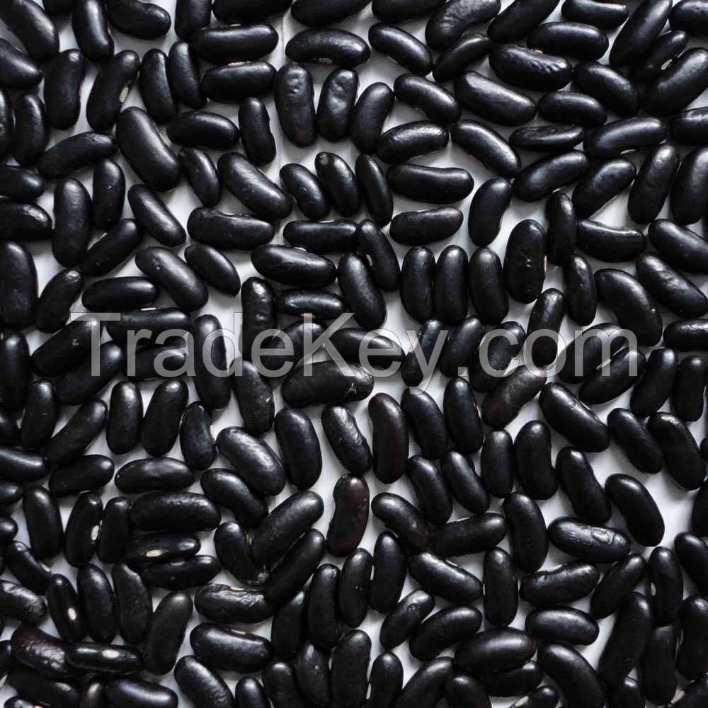 High Quality Black Kidney Beans For Sale