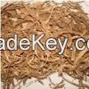 coleus dry root&stem