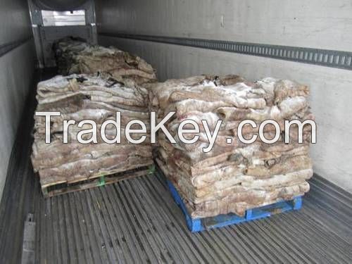 100% DRY SALTED DONKEY HIDES / WET SALTED DONKEY HIDES