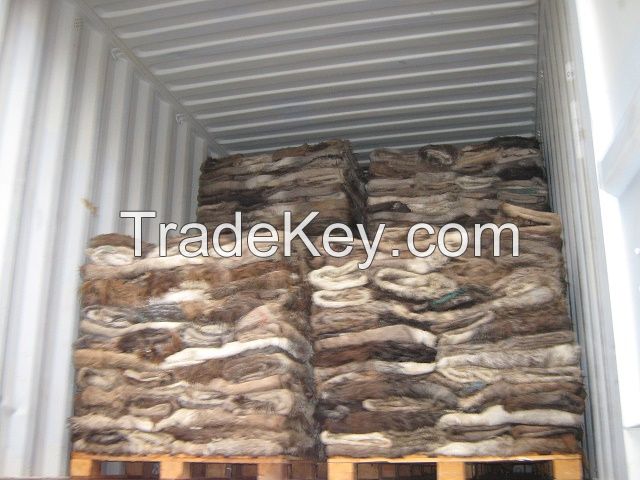Wet Salted Donkey Hides, Cow Skins and Pickled Sheep Skins, 