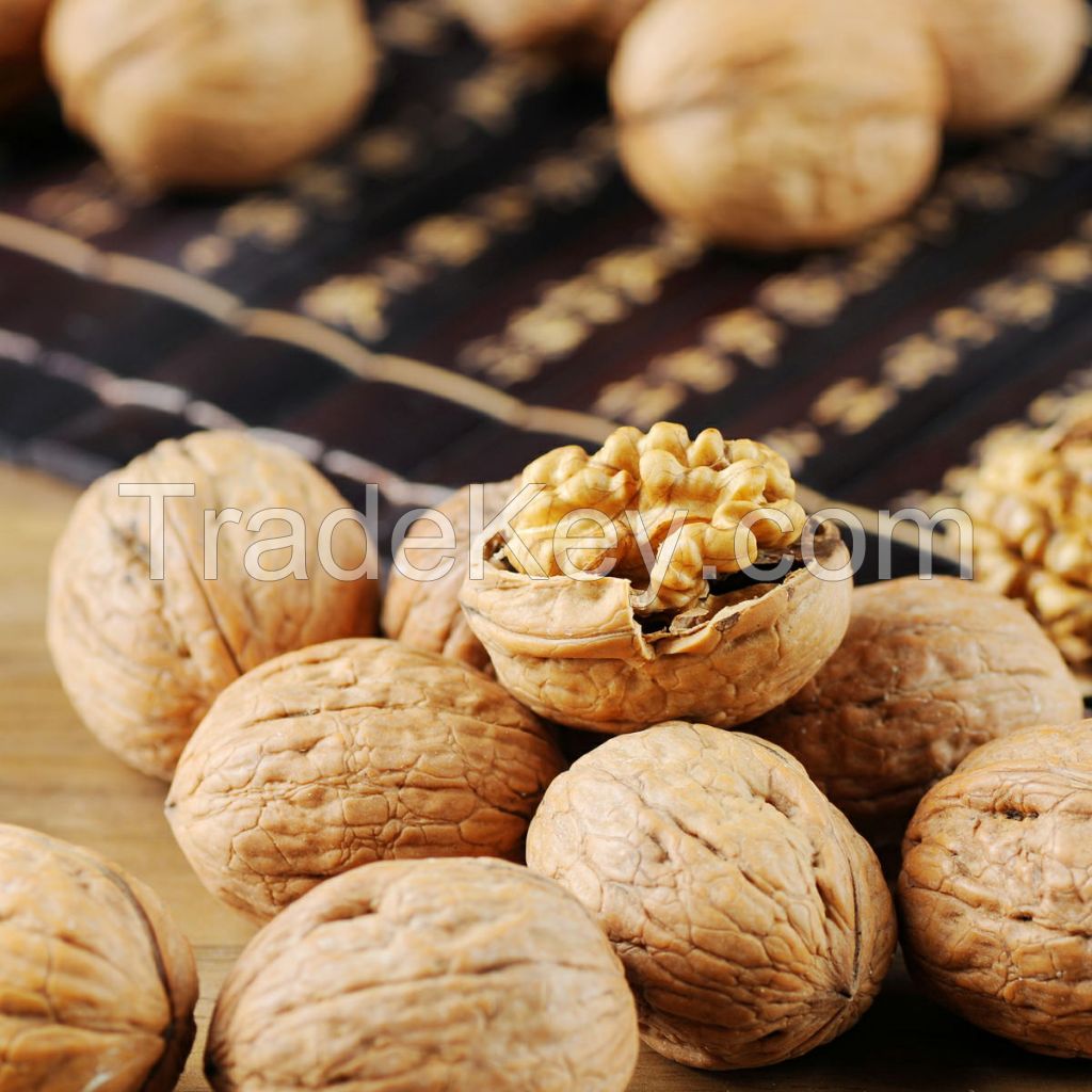 Walnut In High Quality From Xinjiang China Delicious Walnut