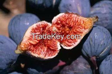 Hot sale figs , high quality fresh fruit figs, dry figs