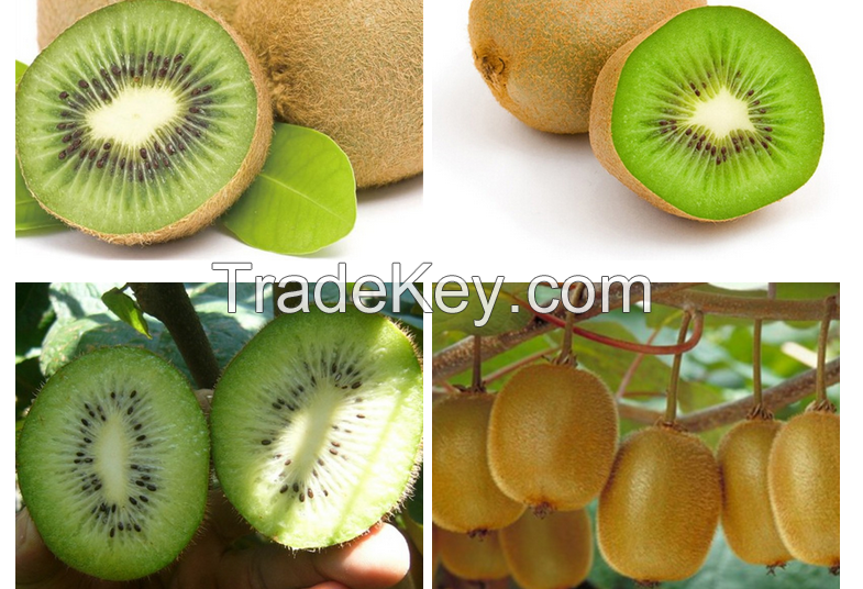 organic fresh kiwi fruit with best quality and competitive price