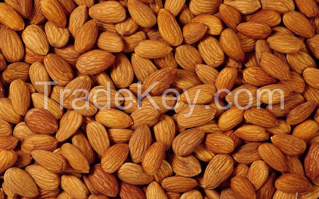 Top Grade Chinese Almond