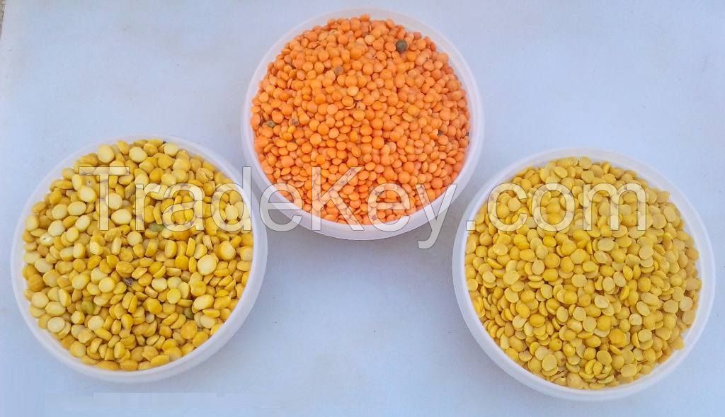 Pigeon Peas / Toor Daal, Price Wholesale Green or Yellow Peas, Split or Whole Kidney Beans, Green and Red Lentils, Mung Beans, Navy Beans, Pink Beans