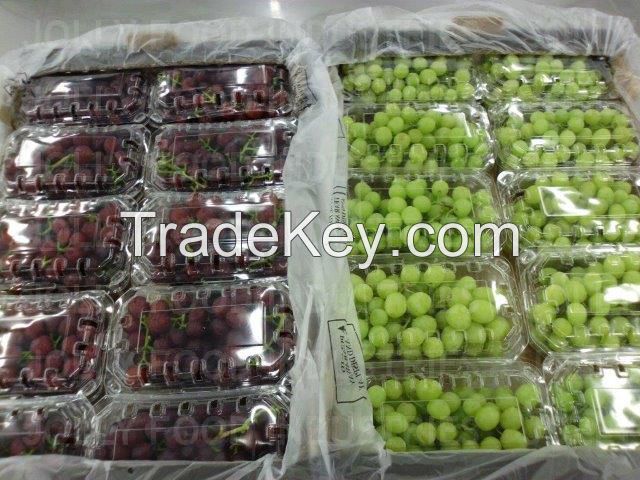 Fresh Grapes wholesale price Superior seedless, Crimson seedless, Thompson seedless   (color bright green)
