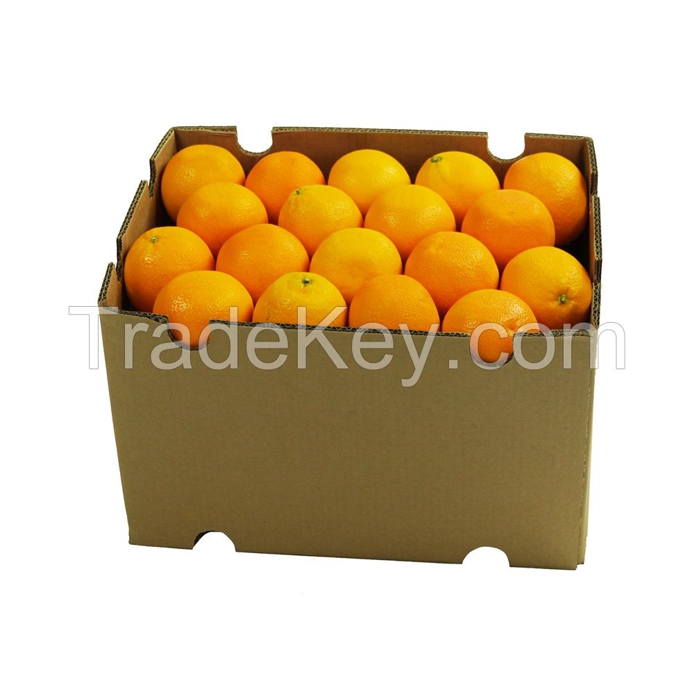 Citrus South Africa origin , Fresh Navel oranges, Citrus Valencia Oranges, Mangoes, Apple , Grapes, Pomegranate