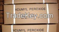 Sell Dicumyl Peroxide DCP 99%