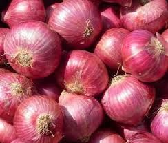 Fresh ONIONS