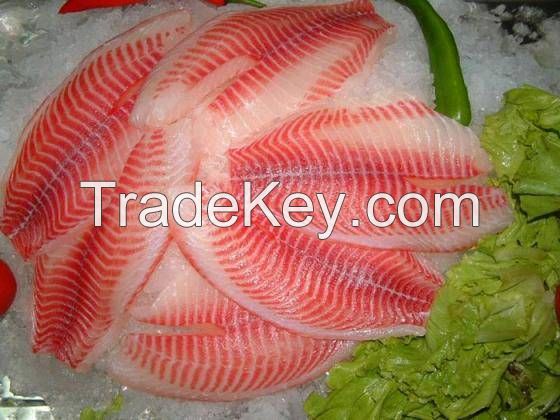 Supply Tilapia Fillet