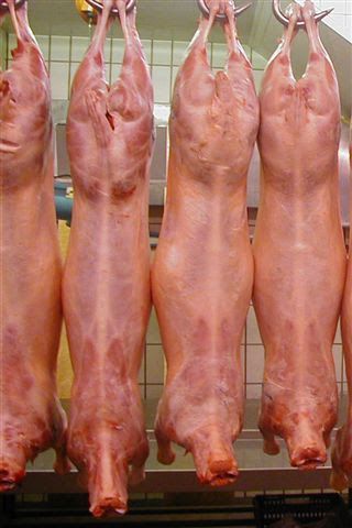 Frozen Lamb/Goat/Mutton Meat whole carcass