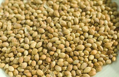 Coriander Seeds