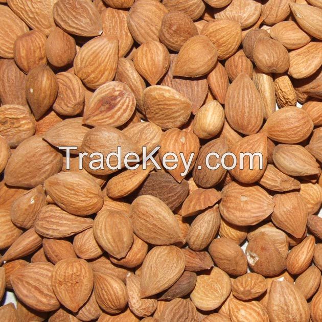 Sweet and Bitter Apricot kernels
