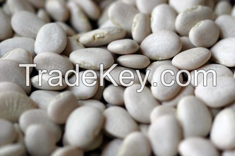 Fresh Lima White/ Kidney beans