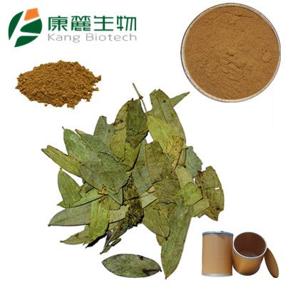 100% Natural Pure Senna Leaf extract