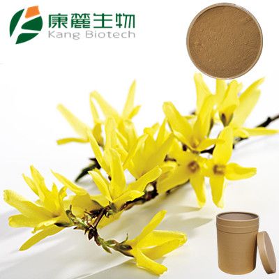 Hypericin 0.3%, 3% Hypericins Hyperforin John's Wort extract Hypericum perforatum L P.E.