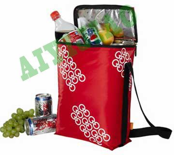 Cooler Bag