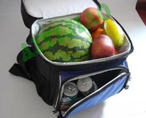 Cooler Bag