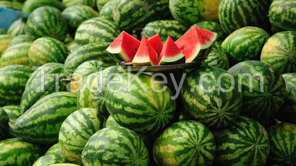 Fresh Water Melon ( Export Grade )