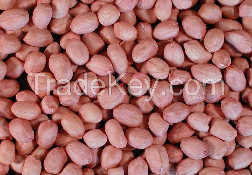 We Offer Grade AAA Raw Peanut Kernel