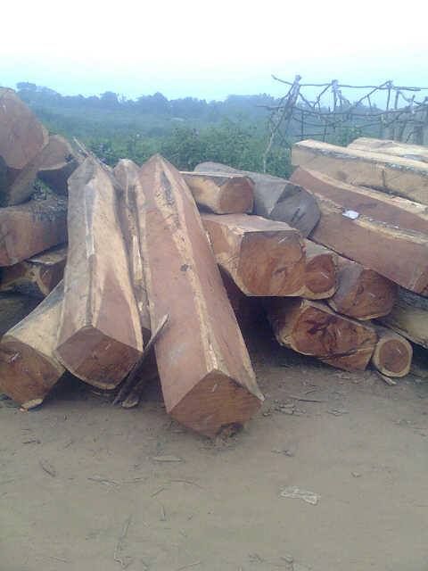 Koso Wood