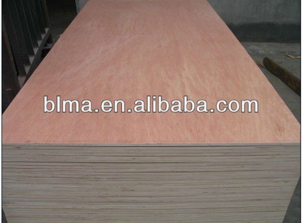 AAA grade UV birch /Okoume/Bintangor plywood for construction