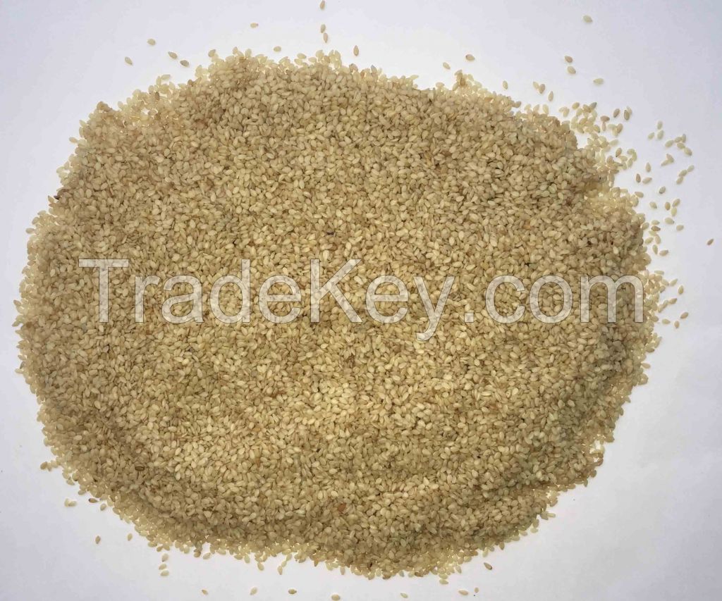 Premium Hulled White Sesame Seed ------ Bangladesh Origin