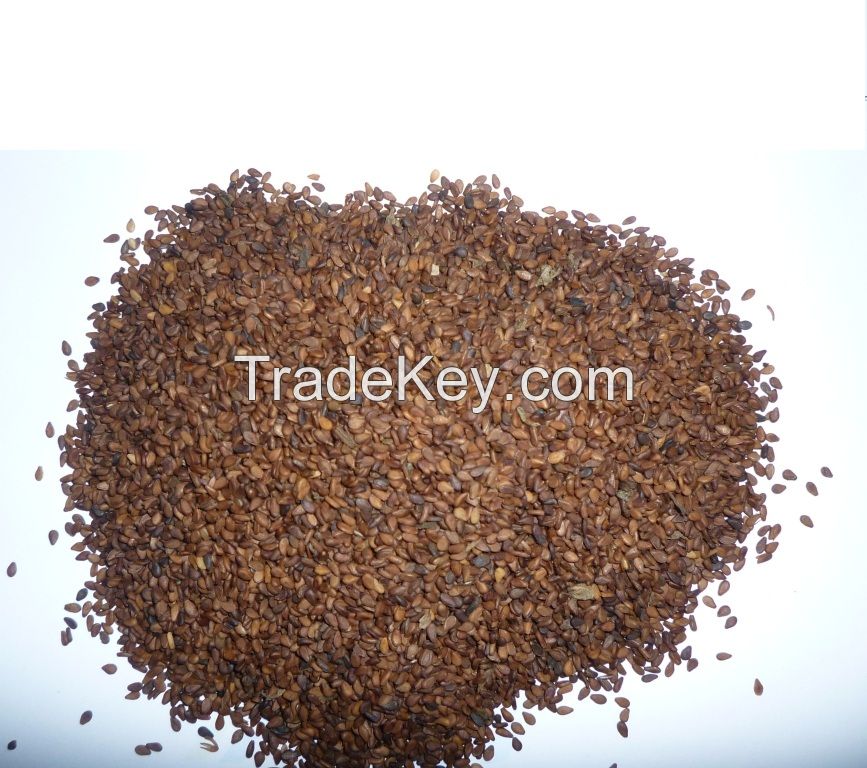 Premium Brown/Red Sesame Seed---- Bangladesh Origin