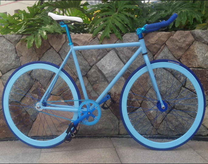Fixed Gear Bicycle, 700CS-004, high-carbon steel frame bike