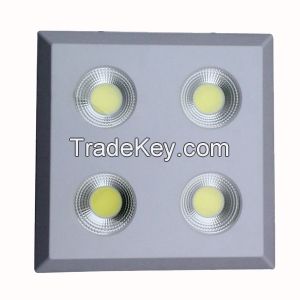 LED Ceiling Lamp