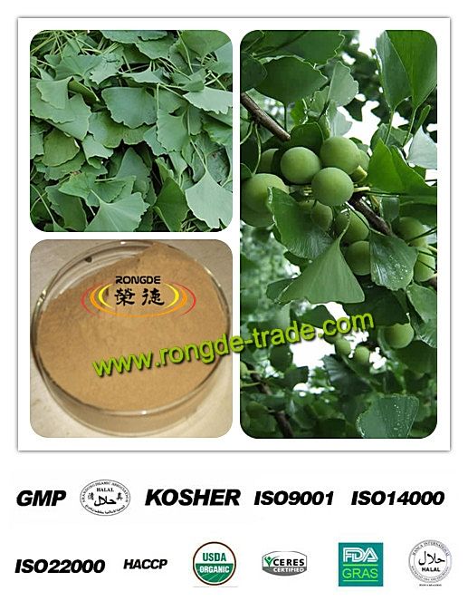 100% Natural Gingko Biloba Extract flavonoide