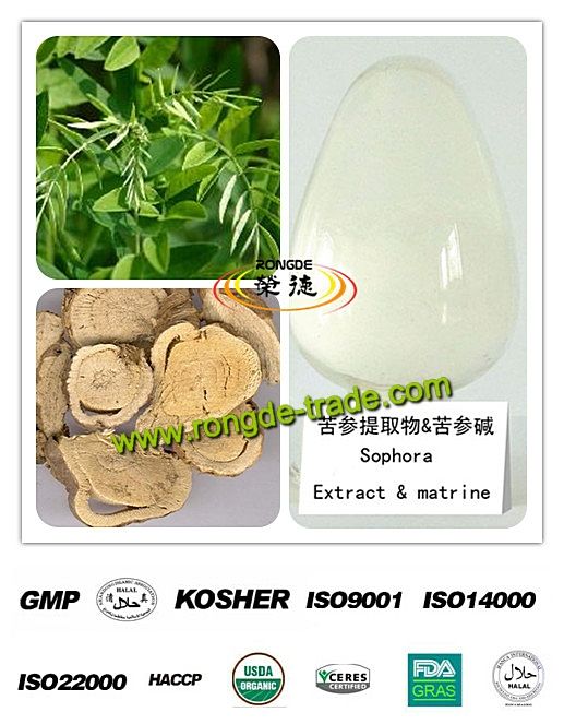 Herb medicine Sophora flavescens extract Matrine for Biopesticide 98% Matrine