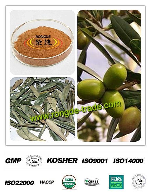 100% Natural Olive Leaf Extract 20% Oleuropein 98% Hydroxytyrosol