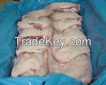 Halal Frozen Chicken Leg