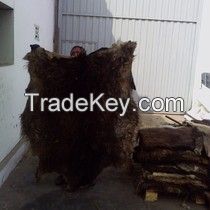 Grade A+ Animal Dry and Wet Salted Donkey/Goat Skin /Wet Salted Cow Hides