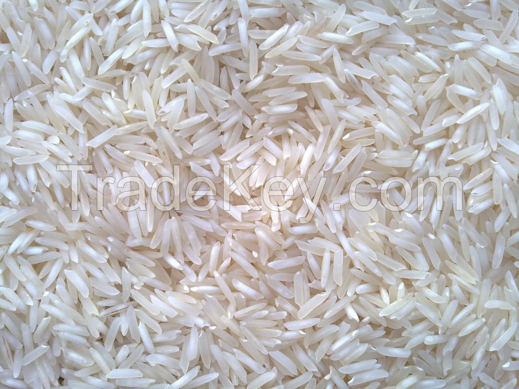 Basmati and Jasmine rice