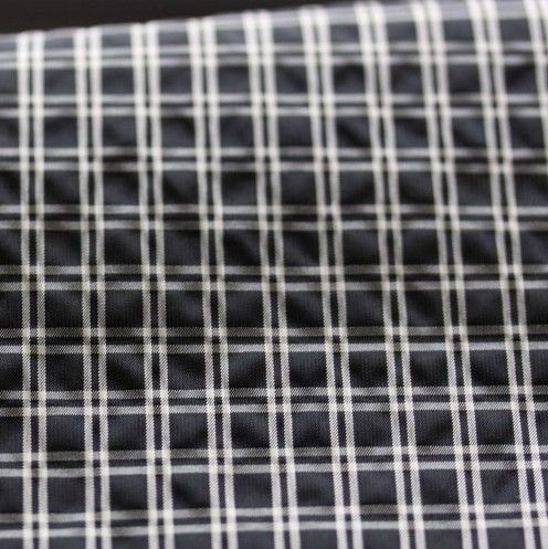 40D polyester nylon interweave fabric/double stripe ripstop
