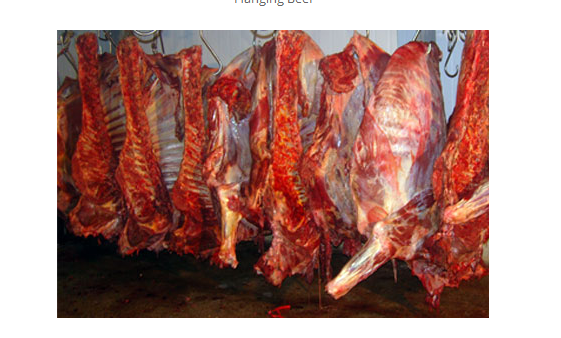 HALAL FROZEN BEEF CARCASS