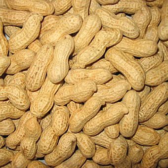 best grade  raw Peanuts for sale
